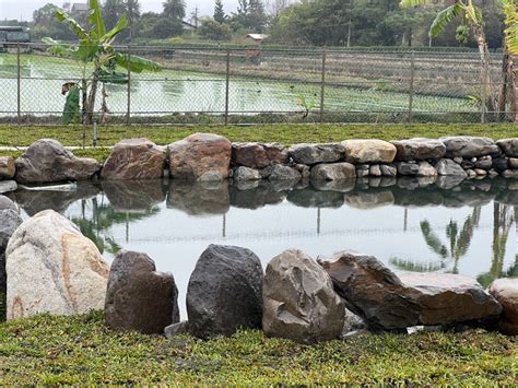 戶外水池|大義絕美水池庭園景觀